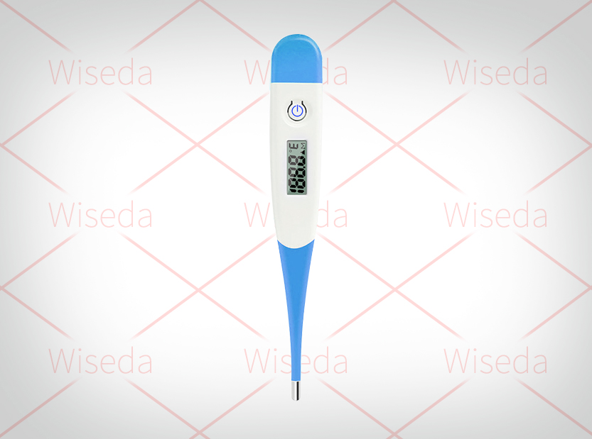 Electronic thermometer scheme