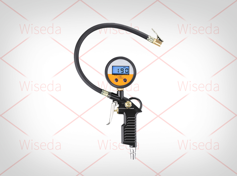 Tire pressure gauge scheme